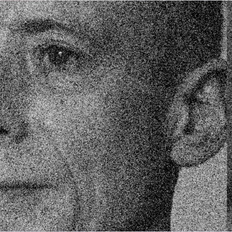 Peter Tatchell - Activist