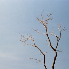 晨曦光廊 -  60km/H