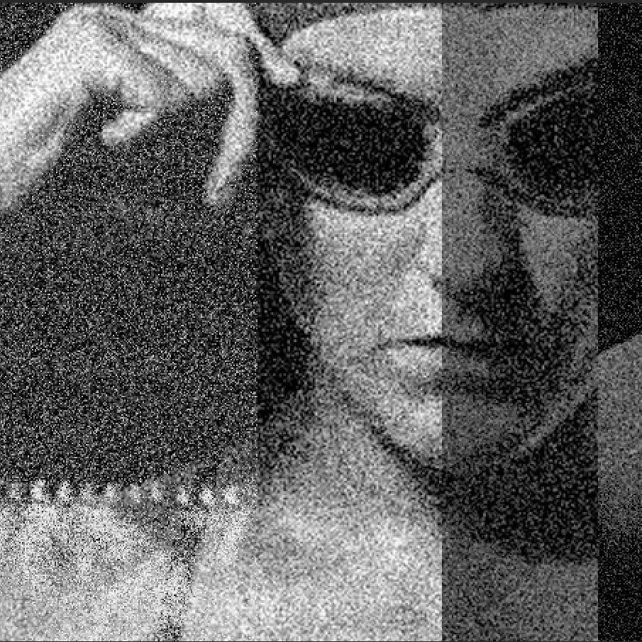 Kim Chambers - Open water swimmer