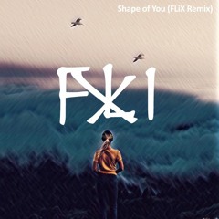 Ed Sheeran - Shape of You (FLiX FLiP)