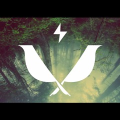 2birds - Modus