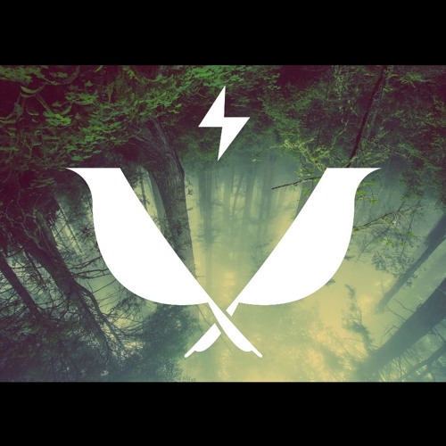 2birds - Modus