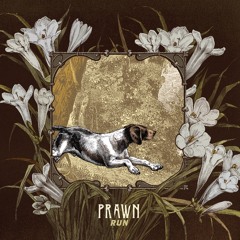 Prawn - "Leopard's Paw"