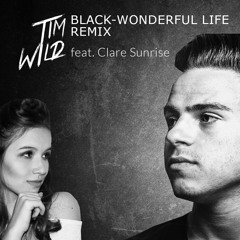 Black - Wonderful Life (Tim Wild Remix)