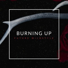 Burning Up (CLIP) Out Now