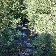 I need  some silence