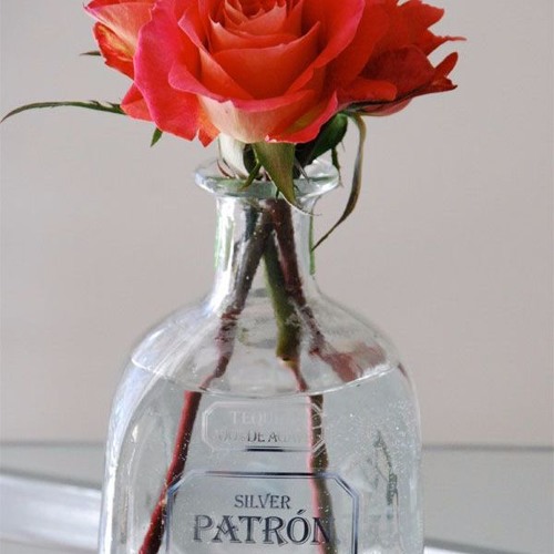 Patron Flowers Ft. Vic August