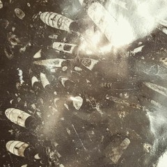 Kirsti null+void KMAH May Mix (Talkover Free)