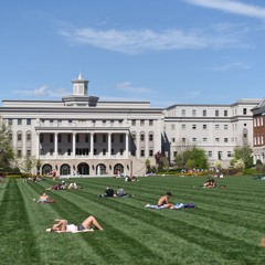 Sounds of the Summer 2017