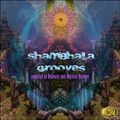Cosmic Touch & Dubnotic - Shambhala