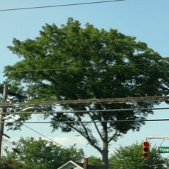 Sister Ancestor - Extreme Measures (P TWANG FOREST REMIX)