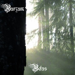 Burzum - Glemselens Elv