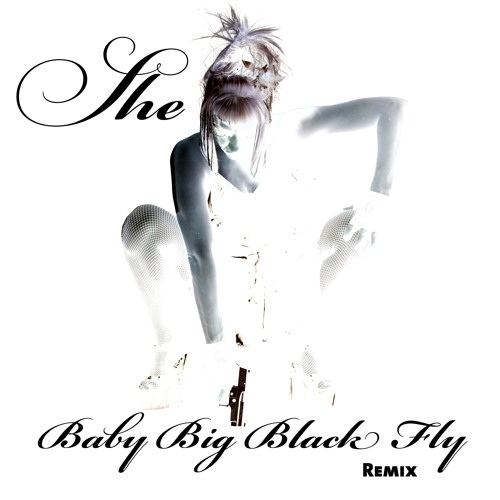 Mix Birgit Fischer Vocals. "All my colours"