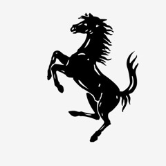 JUMPIN OUT THE RARRI