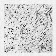 Systek & Avatus - Encephalon