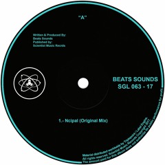 Beats Sounds - Ncipal (Original Mix )