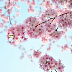 Poem about Potential *SPOKEN WORD