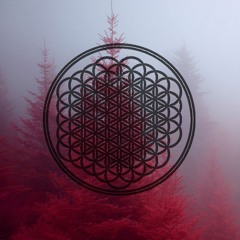 Feel My Heart(BMTH)(VIP)