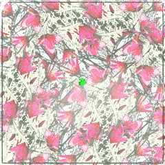 Magnolia Ft. SupaIceColdJay