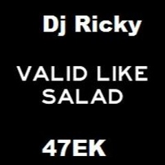 Dj Ricky X 47Ek - Valid Like Salad (remix)