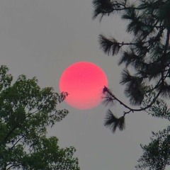 Summer 2017 Master Playlist