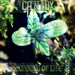 Canlux - Beginning - (Original New Mix)