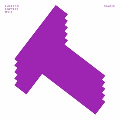 BEDDIGI100 2. Emerson, Digweed & Muir - Tracer -  Ruede Hagelstein Remix