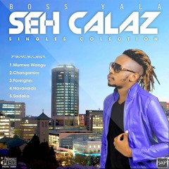 SEH CALAZ - CHANGAMIRE  (TDS VIBES RIDDIM  PROD BY CYMPLEX SOLID REC)