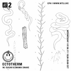 NTS Radio x Ectotherm 07/06/17 w.  SUGAR