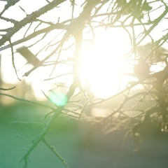 《劫》君君6:20:2017