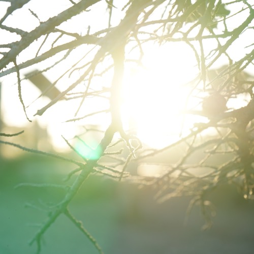 《劫》君君6:20:2017