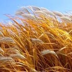 Re-discovery channel Vol.9