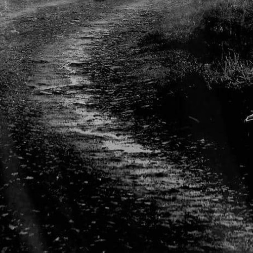 UVB-76 - 473 - Electronic Explorations