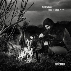 Survival - Time Flux