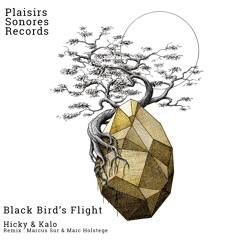 PREMIERE: Hicky & Kalo - Black Bird's Flight (Original Mix)[Plaisirs Sonores Records]