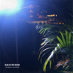 Blue in the Water (Dr Mad X Jai Nitai Lotus)