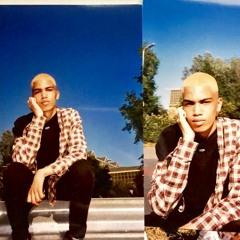 MIHJI GREY - LAND OF BIRDS (PROD. CLIBBO)