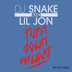DJ Snake, Lil Jon - Turn Down for What (bmc Remix)