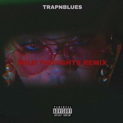 Wild Thoughts Remix