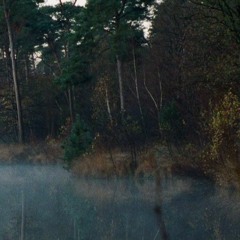 Gal Costa - Baby (remix)