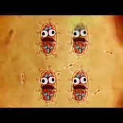 Rise Of Bacteria
