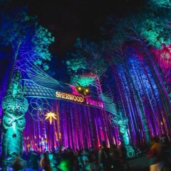 Electric Forest 2017 Weekend 2