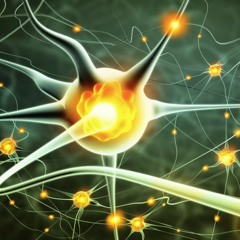 CNS
