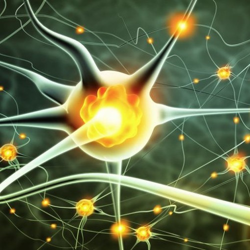 CNS