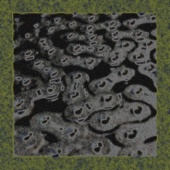 DIVISION