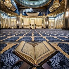 مقطع من سورة التحريم_براء زياد مسعود
