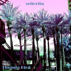 Señorita (original mix)