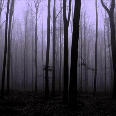 The Dead Woods
