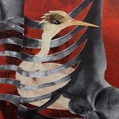 Sonnets From The Portuguese