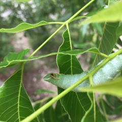 9U#1x3.2 Final Movement